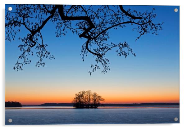 Silhouette of Tree in Winter Acrylic by Arterra 