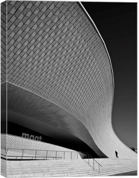 Sweeping Curves of MAAT Museum Canvas Print by Dudley Wood