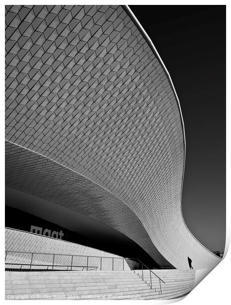 Sweeping Curves of MAAT Museum Print by Dudley Wood