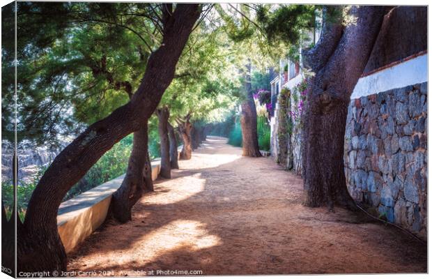 Spectacular Coastal Path - C1509-3003-CRACOL Canvas Print by Jordi Carrio