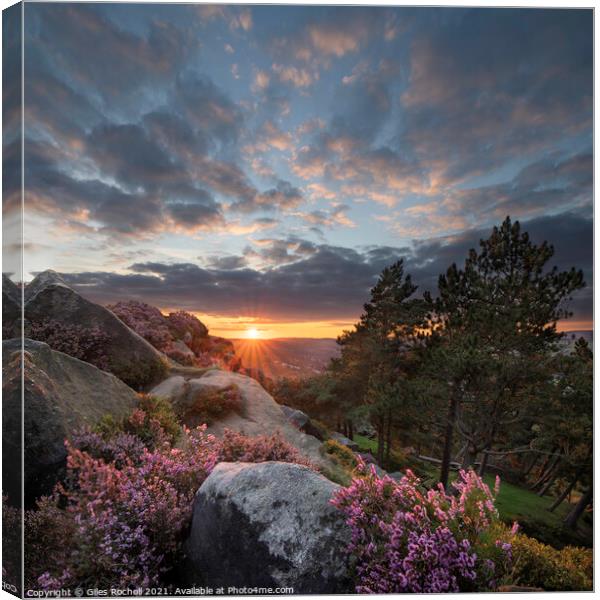 Ilkley Moor sunset and heather Yorkshire Canvas Print by Giles Rocholl