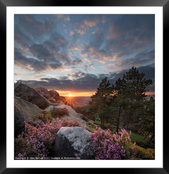 Ilkley Moor sunset and heather Yorkshire Framed Mounted Print by Giles Rocholl
