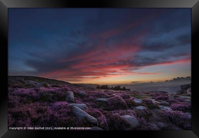 Ilkley Moor sunset and heather Yorkshire Framed Print by Giles Rocholl