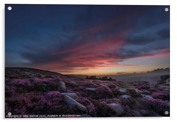 Ilkley Moor sunset and heather Yorkshire Acrylic by Giles Rocholl