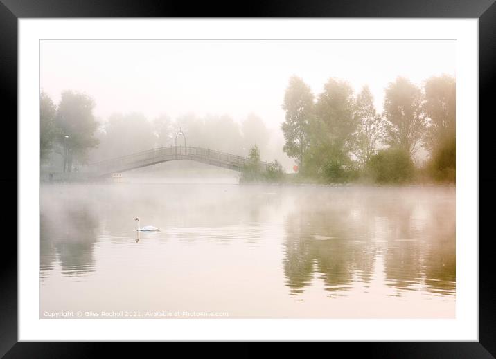Swan lake Doncaster Yorkshire Framed Mounted Print by Giles Rocholl