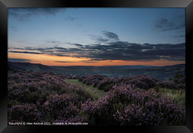 Sunset and heather Ilkley Moor Yorkshire Framed Print by Giles Rocholl
