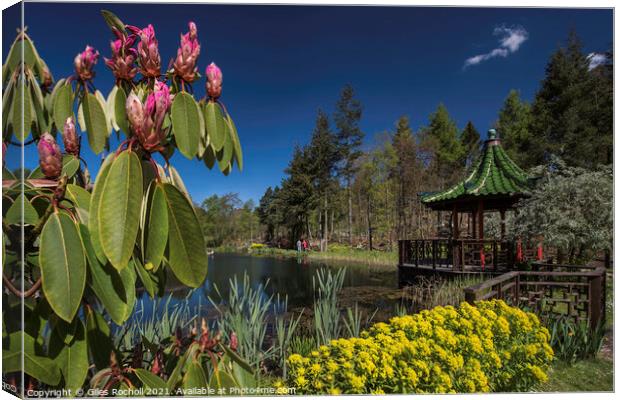 Himalayan Gardens tourism Yorkshire Canvas Print by Giles Rocholl