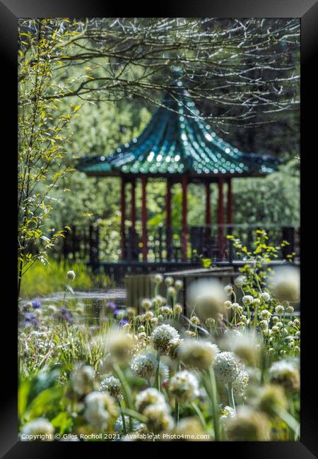 Himalayan Gardens tourism Yorkshire Framed Print by Giles Rocholl