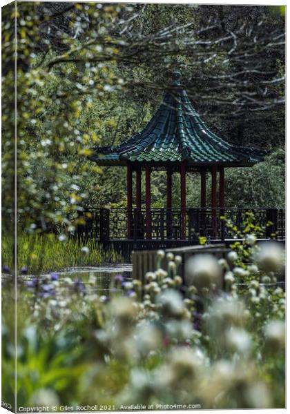 Himalayan Gardens tourism Yorkshire Canvas Print by Giles Rocholl