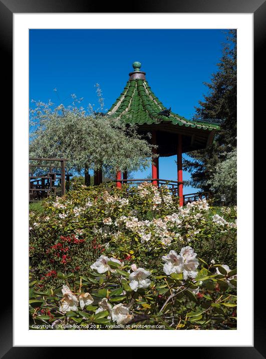 Sculpture Himalayan Gardens tourism Yorkshire Framed Mounted Print by Giles Rocholl