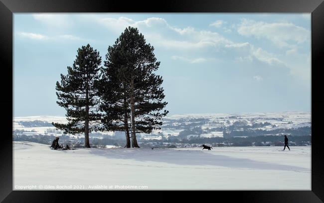 Snowy fields Yorkshire Framed Print by Giles Rocholl