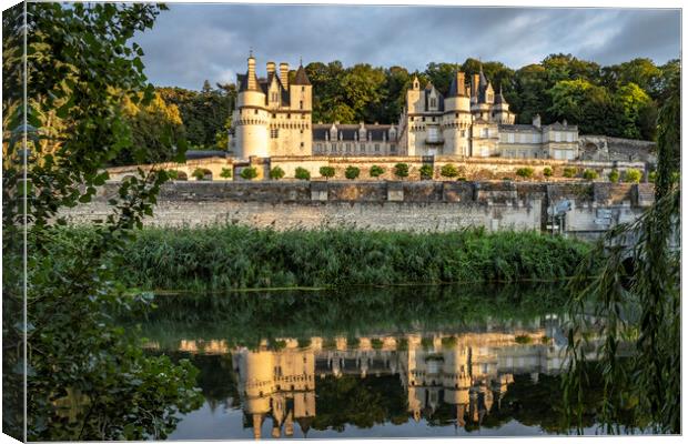 Chateau d'Usse Canvas Print by peter schickert