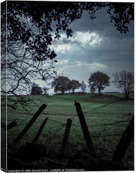 Yorkshire moody fields Canvas Print by Giles Rocholl