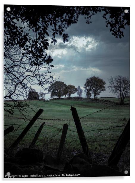 Yorkshire moody fields Acrylic by Giles Rocholl