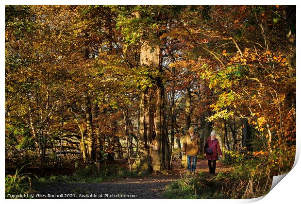 Walking in woods autumn Yorkshire Print by Giles Rocholl