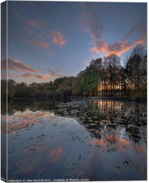 Golden Acre Park Yorkshire Canvas Print by Giles Rocholl