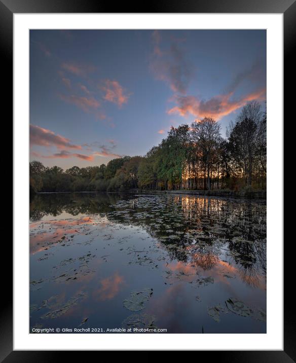 Golden Acre Park Yorkshire Framed Mounted Print by Giles Rocholl