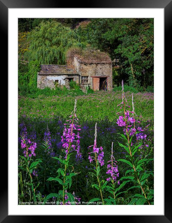 Abandoned house and flowers Yorkshire Framed Mounted Print by Giles Rocholl
