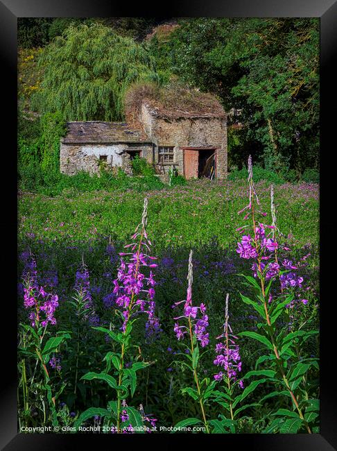 Abandoned house and flowers Yorkshire Framed Print by Giles Rocholl