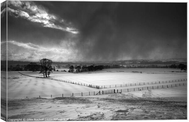 Snowy fields Yorkshire Canvas Print by Giles Rocholl