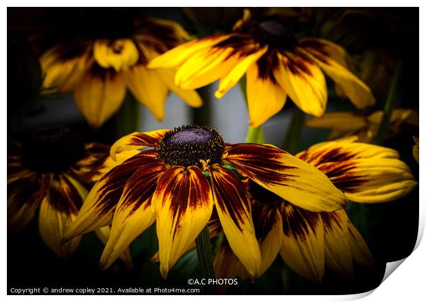 The yellow flowers Print by andrew copley