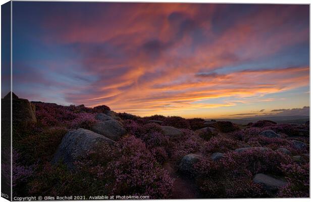 Heather Ilkley Moor Sunset Yorkshire Canvas Print by Giles Rocholl