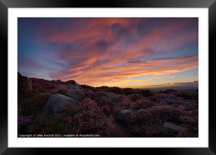 Heather Ilkley Moor Sunset Yorkshire Framed Mounted Print by Giles Rocholl