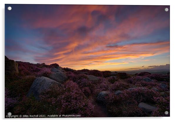 Heather Ilkley Moor Sunset Yorkshire Acrylic by Giles Rocholl