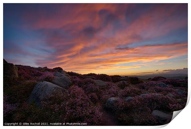 Heather Ilkley Moor Sunset Yorkshire Print by Giles Rocholl