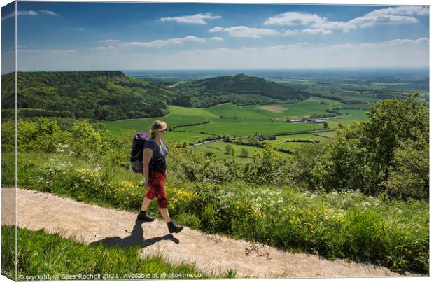 Sutton Bank Yorkshire walking. Canvas Print by Giles Rocholl