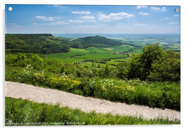 Sutton Bank Yorkshire Acrylic by Giles Rocholl