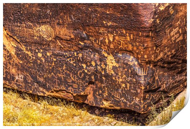 Indian Petroglyphs Newspaper Rock Petrified Forest National Park Print by William Perry