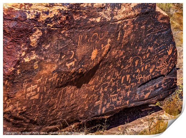 Indian Petroglyphs Newspaper Rock Petrified Forest National Park Print by William Perry