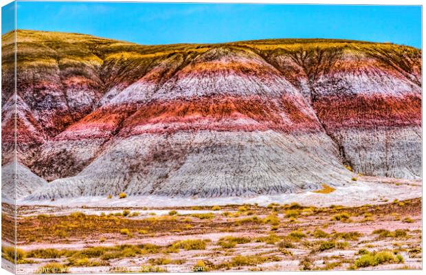 Colorful The Tepees Painted Desert Petrified Forest National Par Canvas Print by William Perry