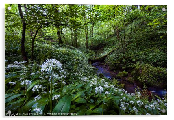 Wild Garlic Hackfall Yorkshire Acrylic by Giles Rocholl