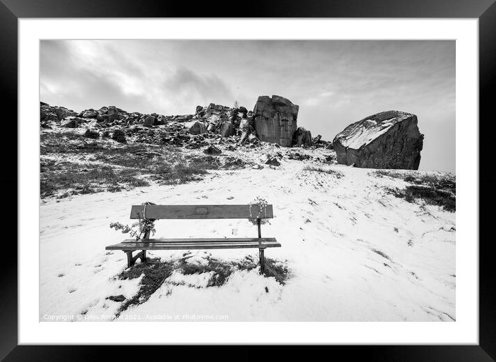 Snow Cow and Calf Ilkley Yorkshire Framed Mounted Print by Giles Rocholl