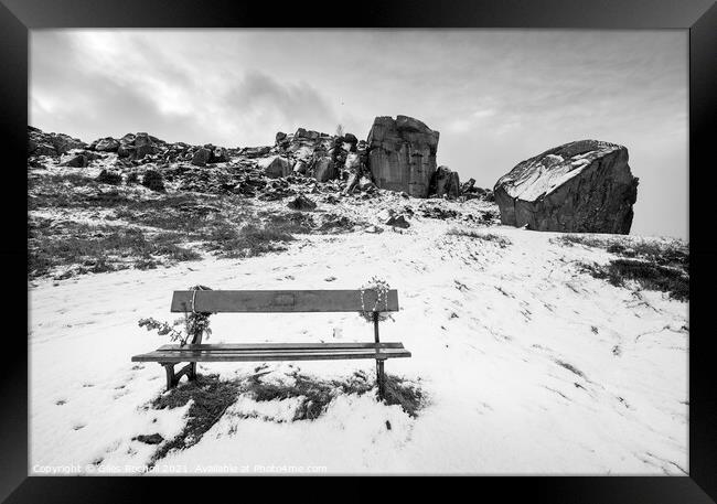 Snow Cow and Calf Ilkley Yorkshire Framed Print by Giles Rocholl