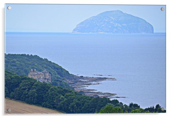 Ailsa Craig and Culzean Castle Acrylic by Allan Durward Photography