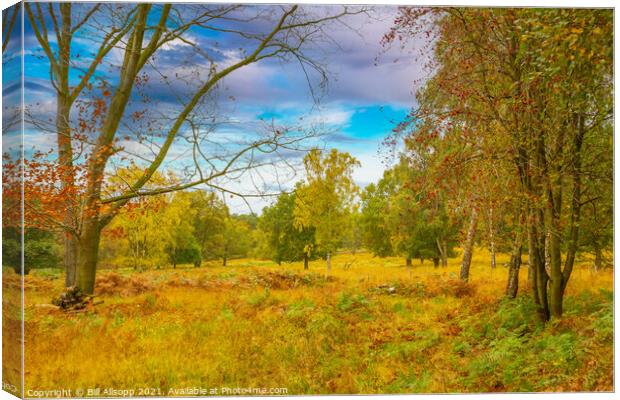Charnwood Forest Canvas Print by Bill Allsopp
