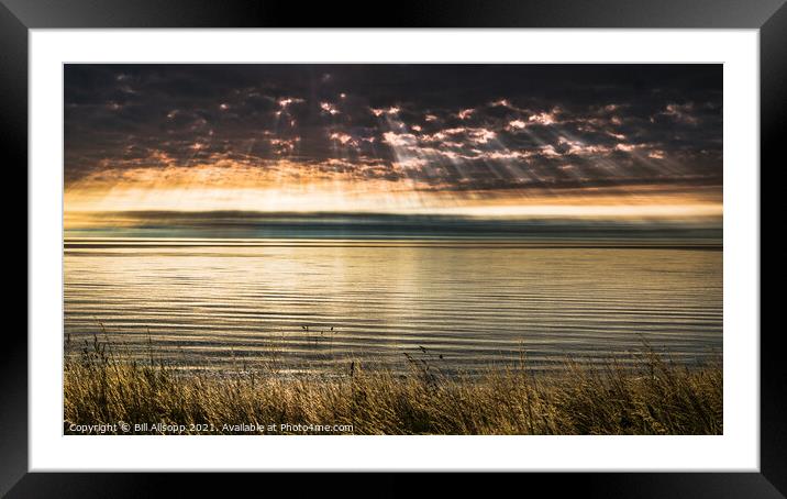 Rays, sea, grasses. Framed Mounted Print by Bill Allsopp