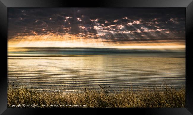 Rays, sea, grasses. Framed Print by Bill Allsopp