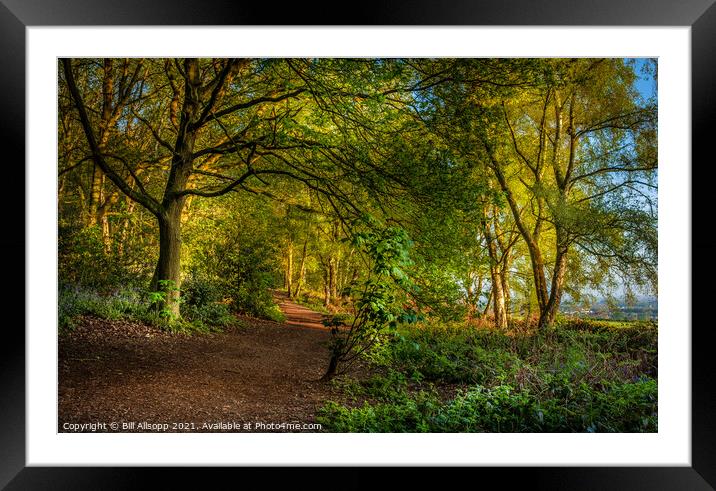 A path in The Outwoods  Framed Mounted Print by Bill Allsopp