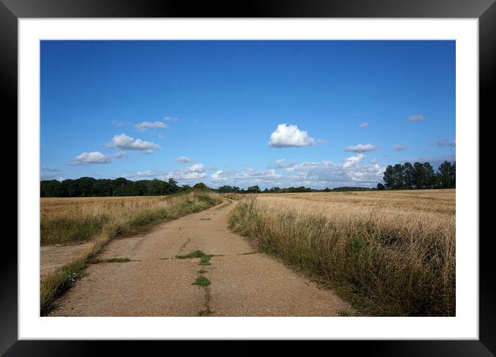 Outdoor road through the fields Framed Mounted Print by Theo Spanellis