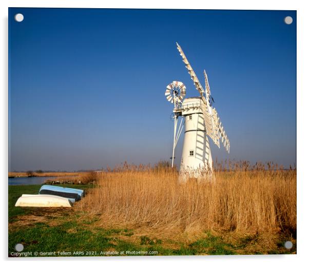Thurne Mill, Norfolk Broads, UK Acrylic by Geraint Tellem ARPS