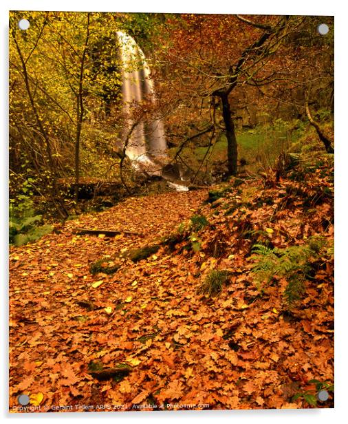 Melincourt waterfall in autumn, nr Ystradfellte, Neath valley, Wales Acrylic by Geraint Tellem ARPS