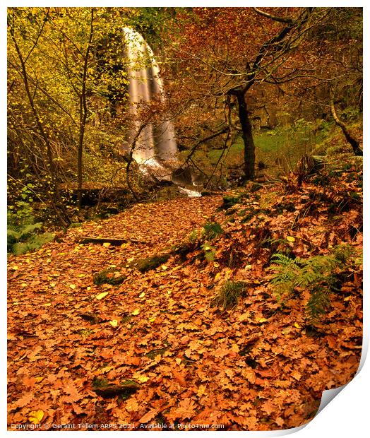 Melincourt waterfall in autumn, nr Ystradfellte, Neath valley, Wales Print by Geraint Tellem ARPS