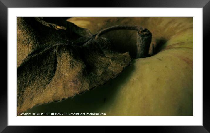 Autumn Apple Framed Mounted Print by STEPHEN THOMAS