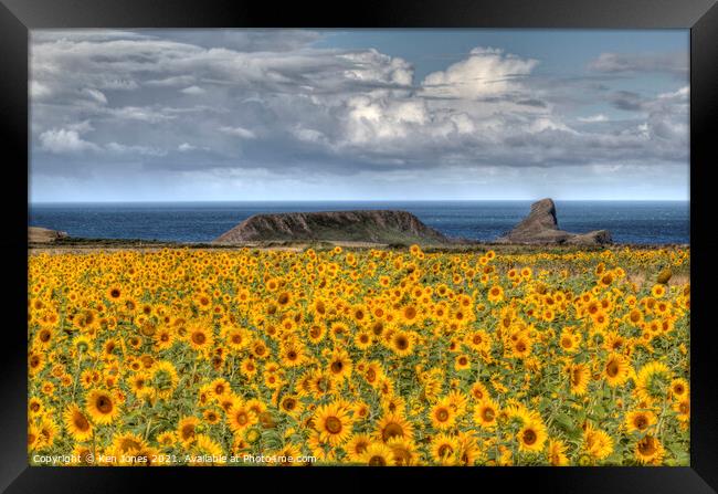 Rhossili Sunflowers Framed Print by Ken Jones