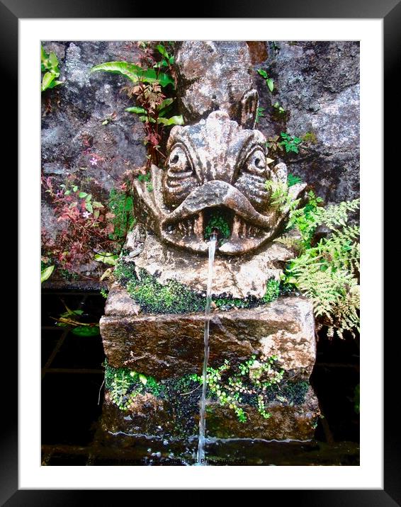 Fountain Framed Mounted Print by Stephanie Moore