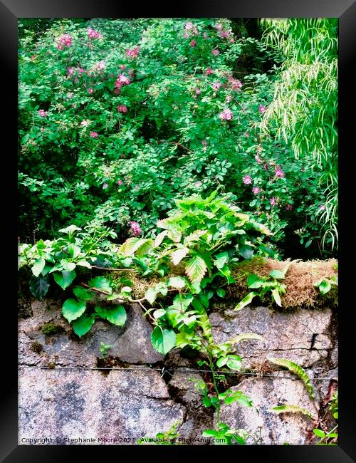  Castle wall Framed Print by Stephanie Moore